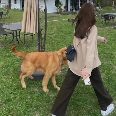 贪尸